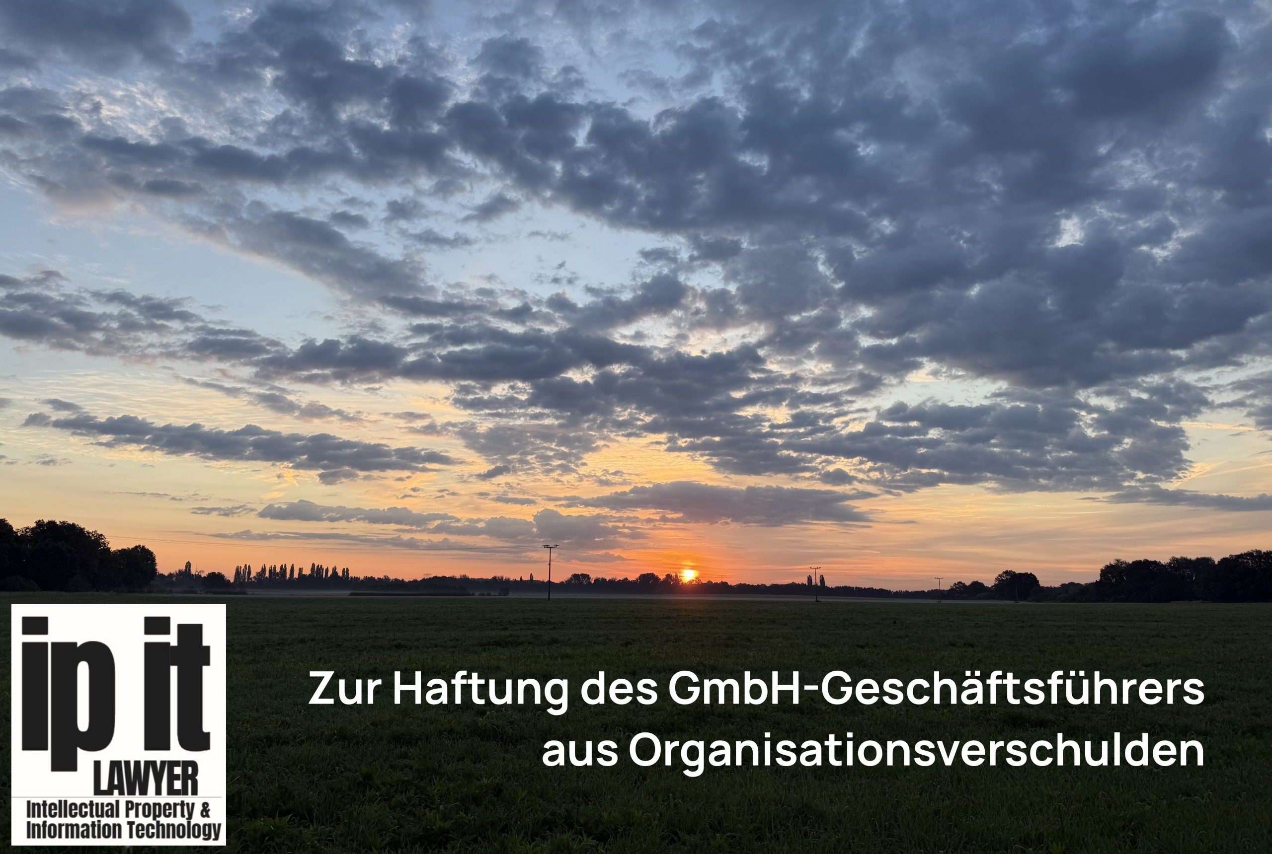 Zur Haftung des GmbH-Geschäftsführers aus Organisationsverschulden