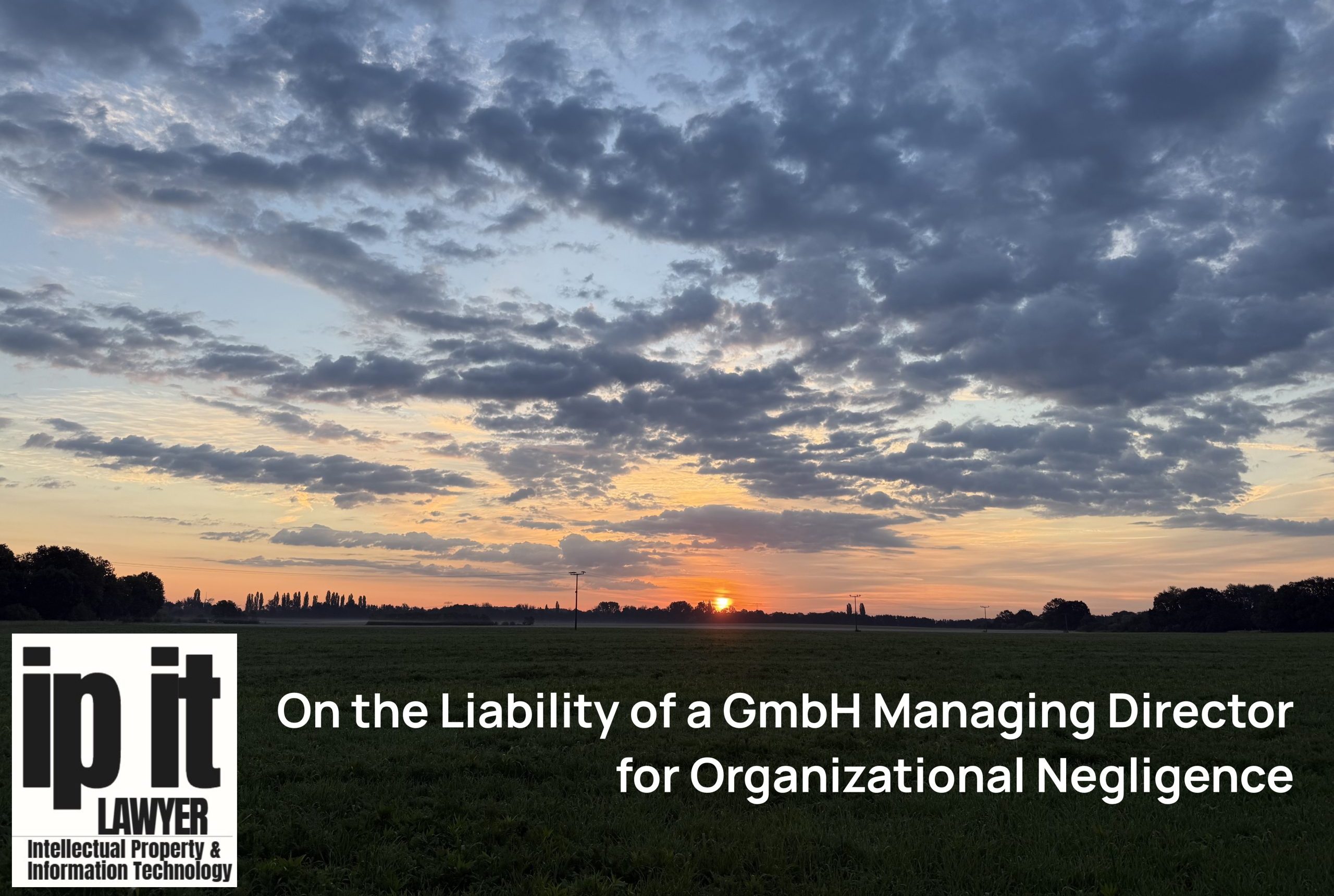 On the Liability of a GmbH Managing Director for Organizational Negligence